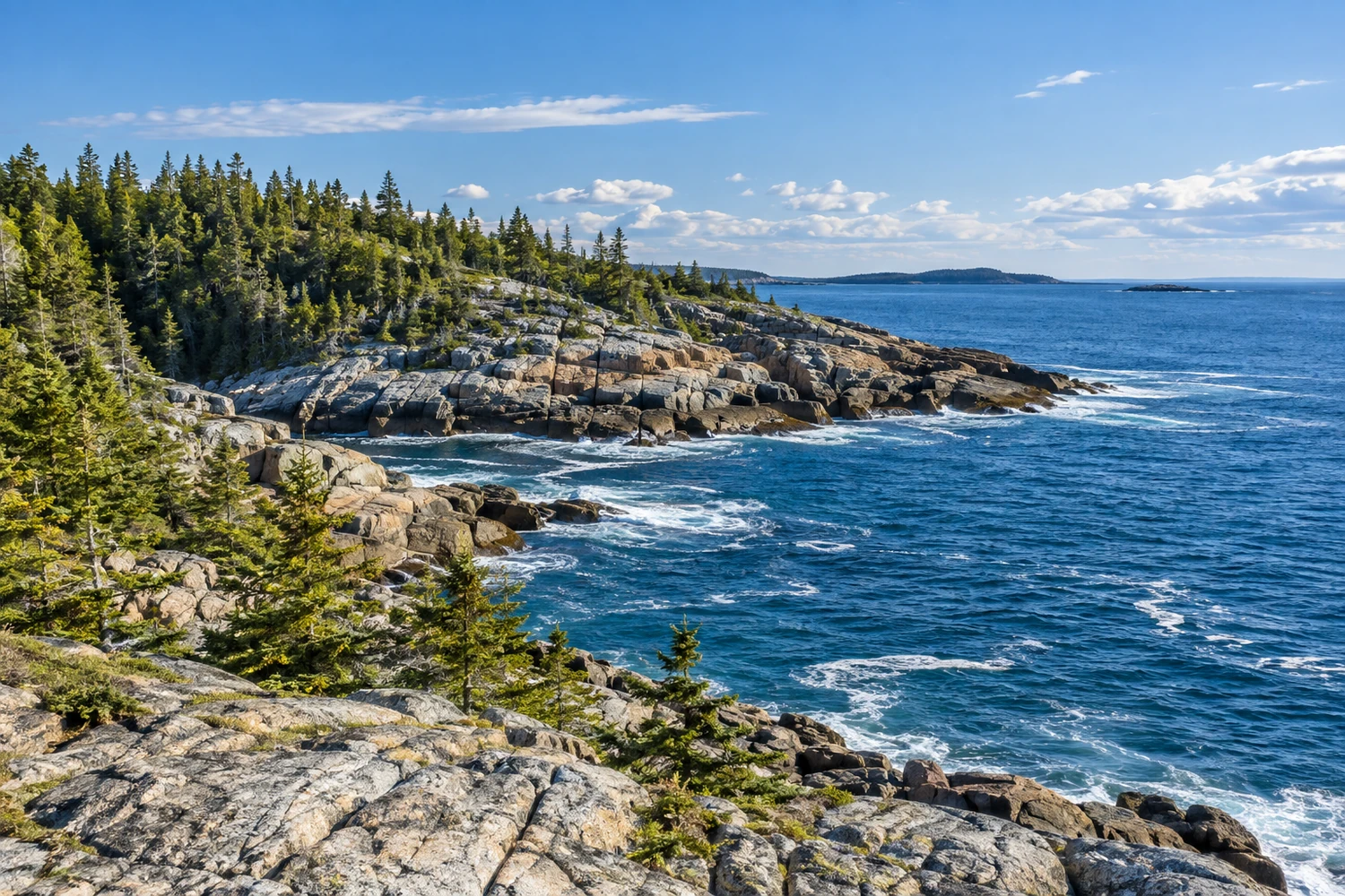 Spruce trees above a pale granite headland beside deep blue Atlantic water.